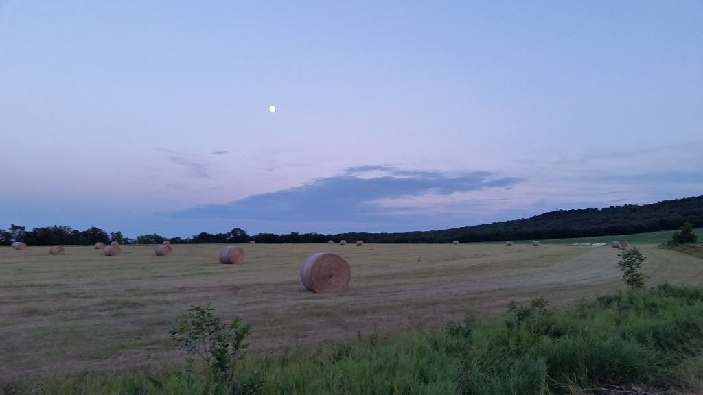 Haybales in a field with the moon in the background